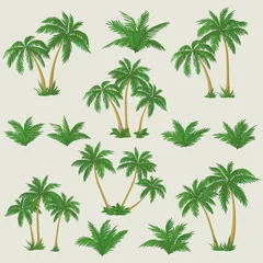 Poster Tropical palm trees set © oksanaok