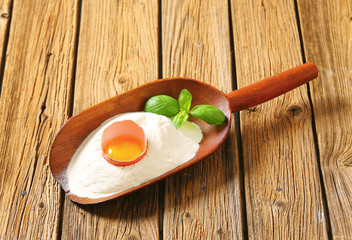 Flour and fresh egg in a scoop