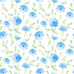 Chicory seamless pattern.