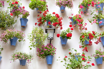 Blue Flowerpots and Red Flowers on a white wall with vintage lan - obrazy, fototapety, plakaty