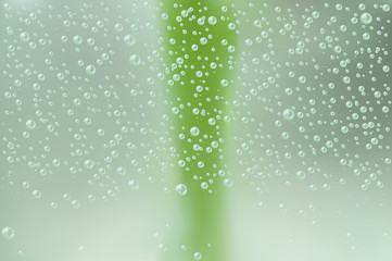 Obraz premium Water bubbles background