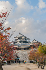 秋の松山城