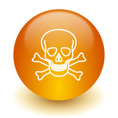 skull icon
