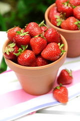 Ripe sweet strawberries in pots on table in garden