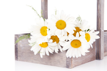 Beautiful flowers in crate isolated on white