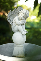 Fototapeta na wymiar close up angel doll in garden