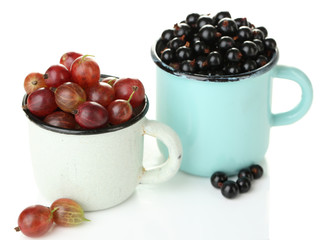 Ripe gooseberries and blackcurrants in mug isolated on white.