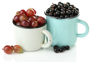 Ripe gooseberries and blackcurrants in mug isolated on white.