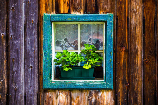 Fototapeta Window