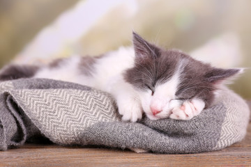Cute little kitten sleeping on plaid, on bright background