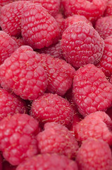 Himbeeren