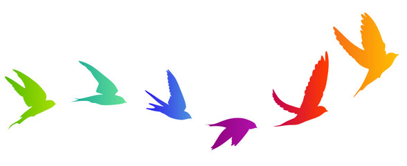 Vogelzug Vektor Silhouette