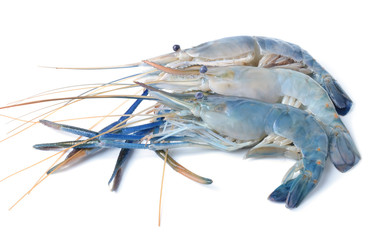 Raw Shrimps