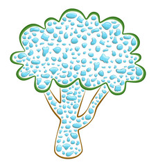 tree water drops