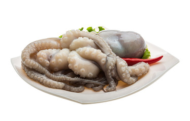 Raw octopus