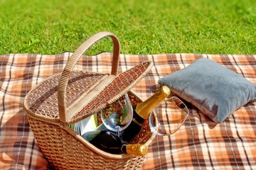 Summer Picnic on Lawn.