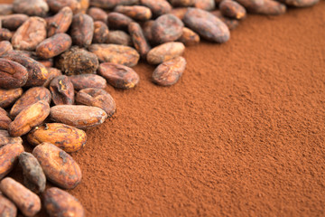 Kakaobohnen auf Kakaopulver