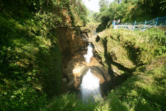Davis Fall