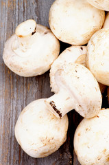 Big Raw Champignons
