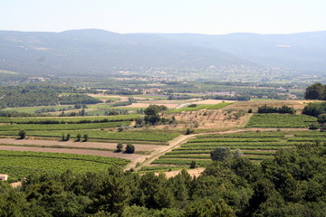 Provencalische Landschaft