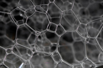 Fototapeta premium Lattice