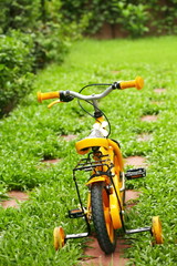 Yellow bicycle parking on garden floor