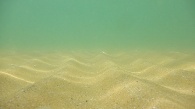 Sandy seabed underwater