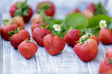 Strawberry - freshly picked strawberries