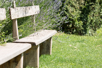 Benches in a Park