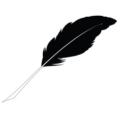 Black feather on white. Raster