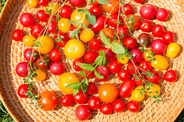Assorted colorful tomatoes