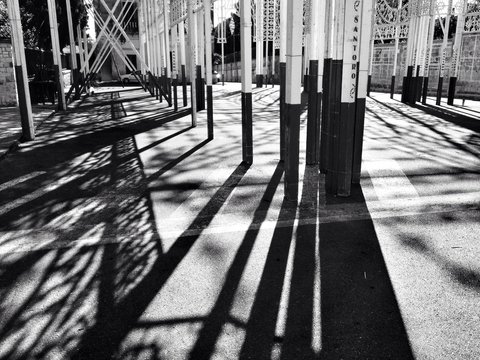 Luminarie Scorrano (Le)