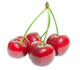 cherry isolated on white background