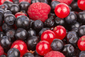 Berries