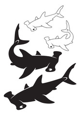sharks