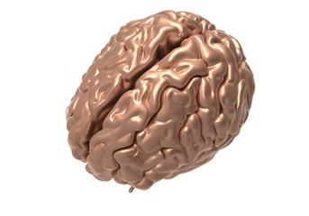brain with clipping mask