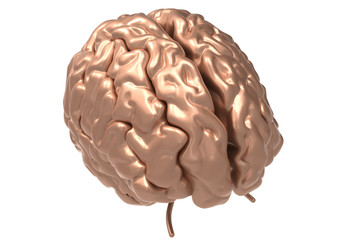 brain with clipping mask