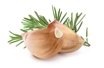 Two garlic cloves and rosemary isolated on white background