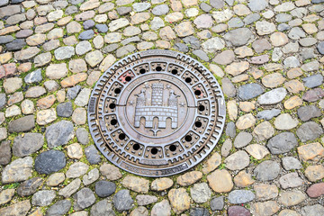 The Freiburger Muenster at the gully cover