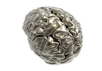 brain with clipping mask