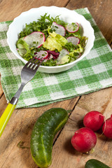 Salad with radish and green cucumber.