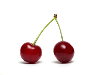 Two ripe cherries on the petiole