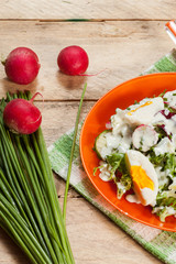 Salad with egg, radish and cucumber.