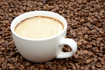 cup of coffee with cream on a coffee beans background