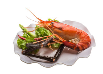 Giant Freshwater Prawn