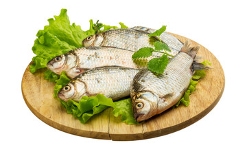 Crucian fish