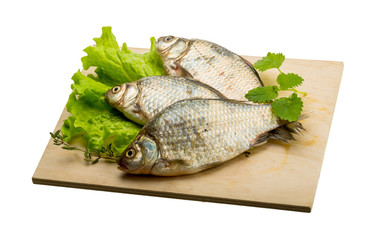 Crucian fish