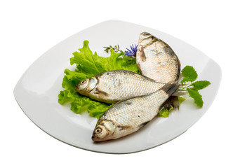 Crucian fish