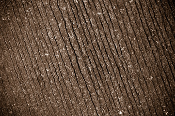 Fototapeta premium concrete texture
