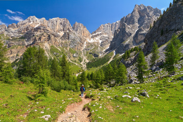 Fototapeta na wymiar Dolomites - landscape in Contrin Valley